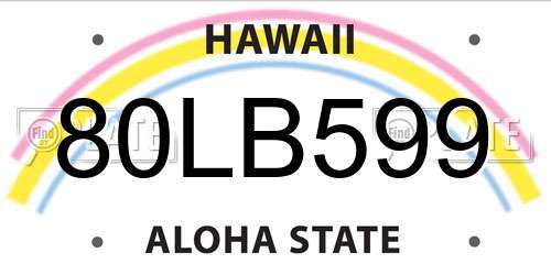 80LB599 Hawaii License Plate