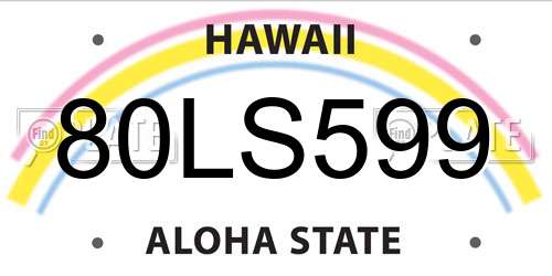 80LS599 Hawaii License Plate