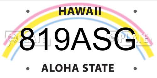 819ASG Hawaii License Plate