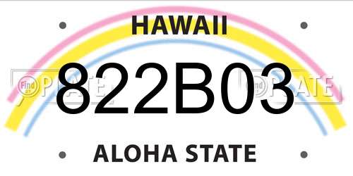 822B03 Hawaii License Plate