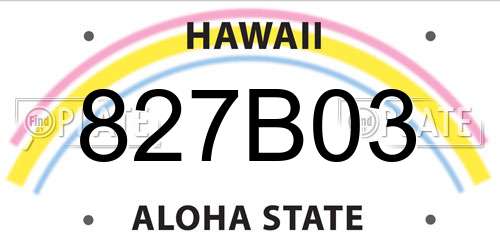 827B03 Hawaii License Plate