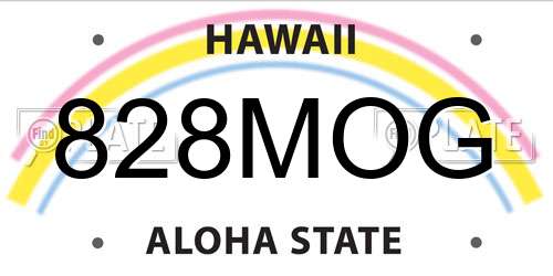 828MOG Hawaii License Plate