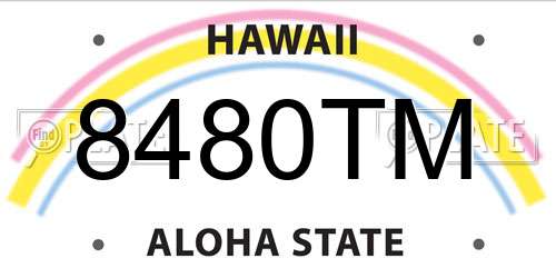 8480TM Hawaii License Plate