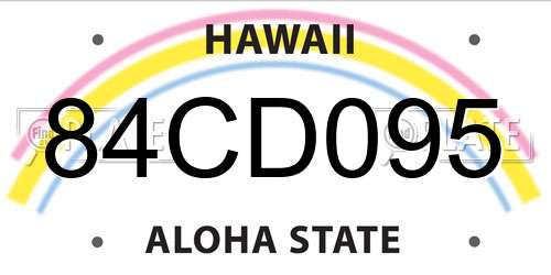 84CD095 Hawaii License Plate