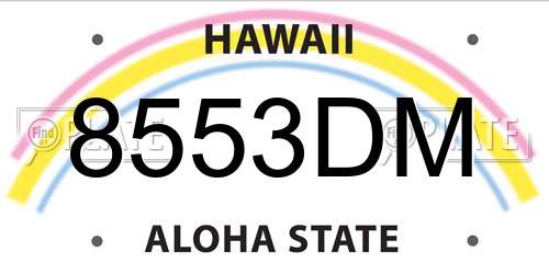8553DM Hawaii License Plate
