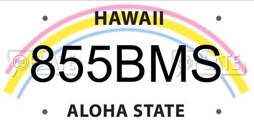 855BMS Hawaii License Plate