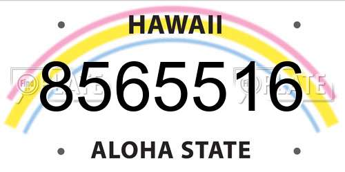 8565516 Hawaii License Plate