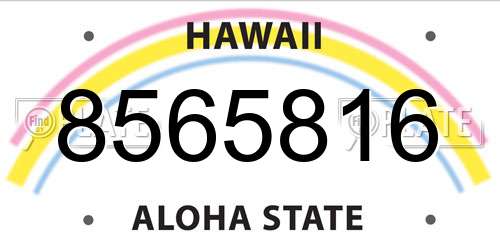 8565816 Hawaii License Plate
