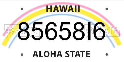 85658I6 Hawaii License Plate