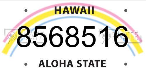 8568516 Hawaii License Plate