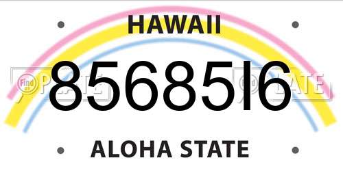 85685I6 Hawaii License Plate