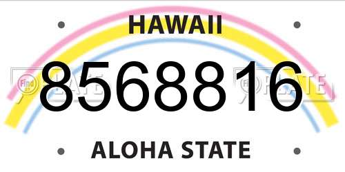 8568816 Hawaii License Plate