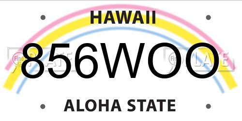 856WOO Hawaii License Plate