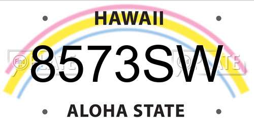 8573SW Hawaii License Plate