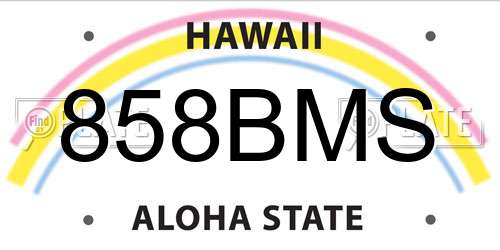 858BMS Hawaii License Plate
