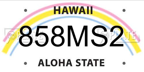858MS2 Hawaii License Plate
