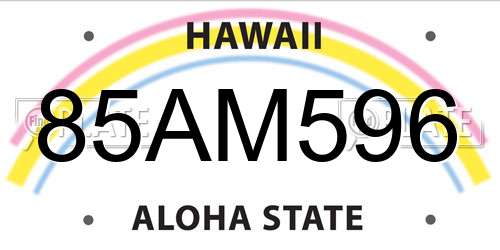 85AM596 Hawaii License Plate