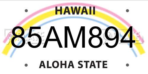 85AM894 Hawaii License Plate