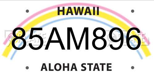 85AM896 Hawaii License Plate