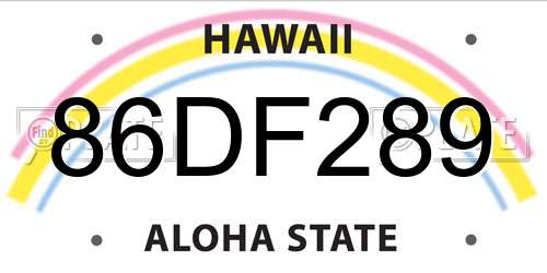 86DF289 Hawaii License Plate