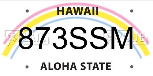 873SSM Hawaii License Plate