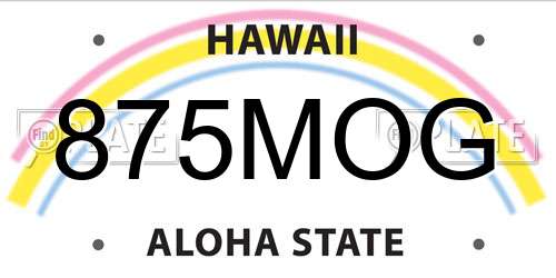 875MOG Hawaii License Plate