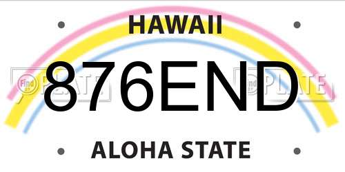 876END Hawaii License Plate
