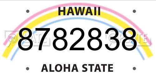 8782838 Hawaii License Plate