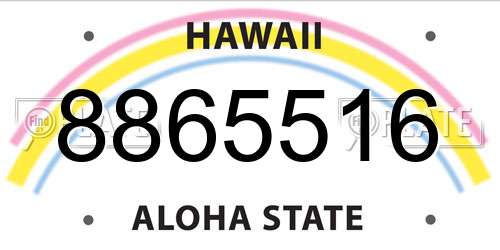 8865516 Hawaii License Plate