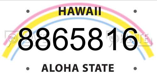 8865816 Hawaii License Plate