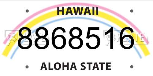 8868516 Hawaii License Plate