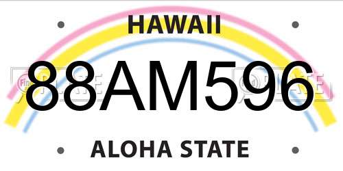 88AM596 Hawaii License Plate