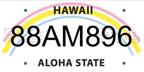 88AM896 Hawaii License Plate
