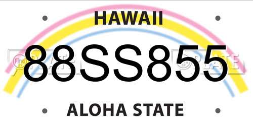 88SS855 Hawaii License Plate
