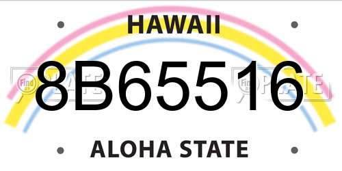 8B65516 Hawaii License Plate
