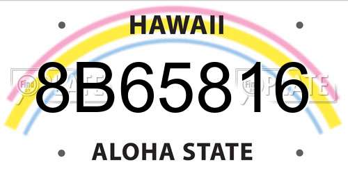 8B65816 Hawaii License Plate