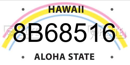 8B68516 Hawaii License Plate