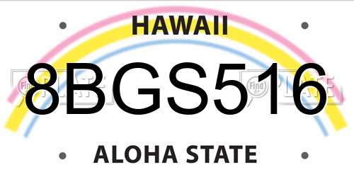 8BGS516 Hawaii License Plate