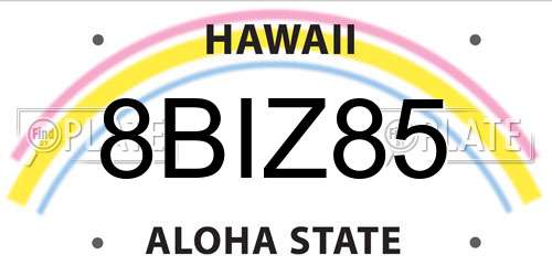 8BIZ85 Hawaii License Plate