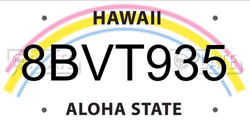 8BVT935 Hawaii License Plate