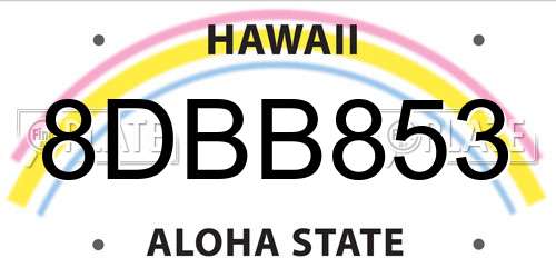 8DBB853 Hawaii License Plate