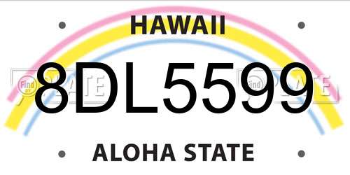 8DL5599 Hawaii License Plate