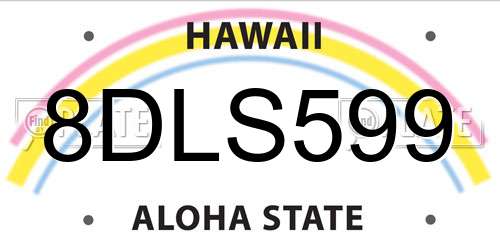 8DLS599 Hawaii License Plate