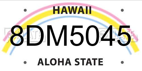 8DM5045 Hawaii License Plate