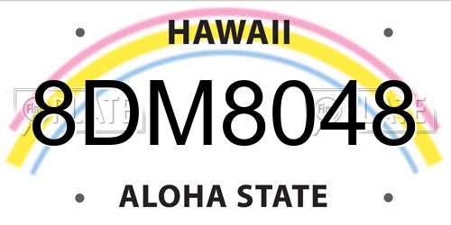 8DM8048 Hawaii License Plate
