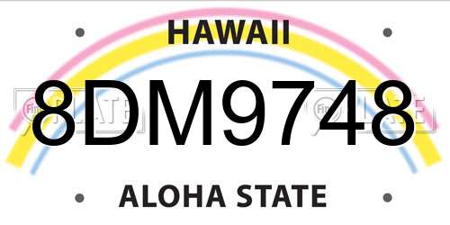 8DM9748 Hawaii License Plate