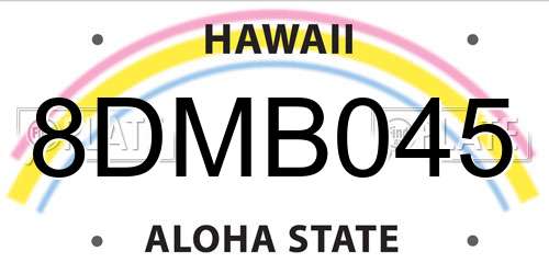 8DMB045 Hawaii License Plate