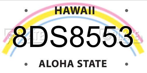 8DS8553 Hawaii License Plate