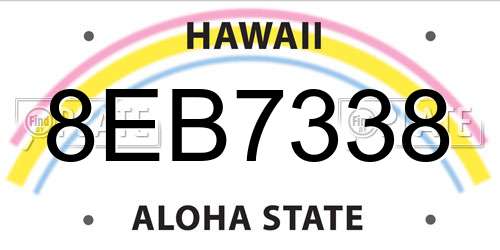 8EB7338 Hawaii License Plate