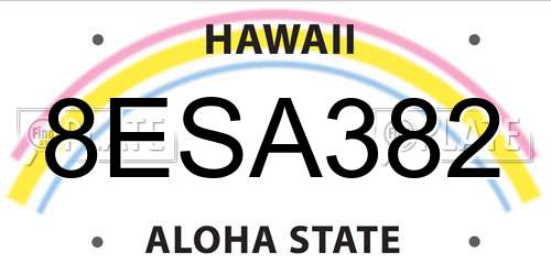 8ESA382 Hawaii License Plate